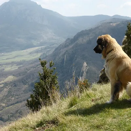 Le De Cristal Proche Bugarach * Granes