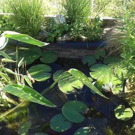 Le De Cristal Proche Bugarach Feriehus Granes