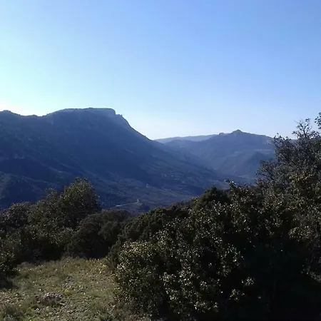 Le De Cristal Proche Bugarach Granes