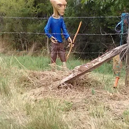 Le De Cristal Proche Bugarach *