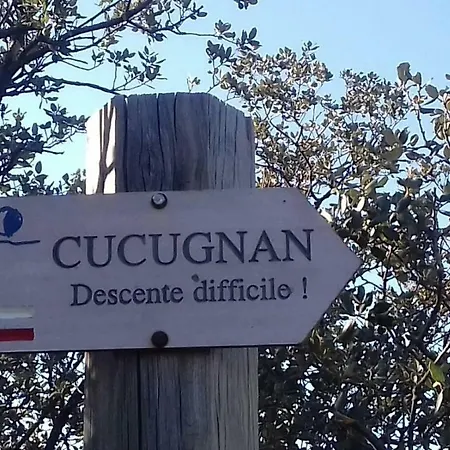 Le De Cristal Proche Bugarach Granes