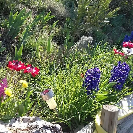 Le De Cristal Proche Bugarach Granes