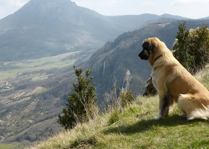 Le De Cristal Proche Bugarach * Granes