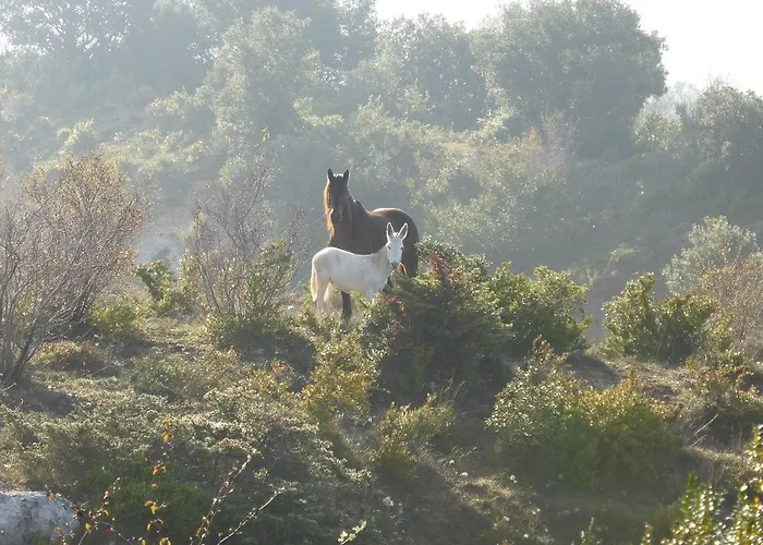Le De Cristal Proche Bugarach بيت للعطل