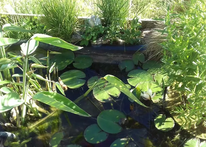 Le De Cristal Proche Bugarach بيت للعطل Granes