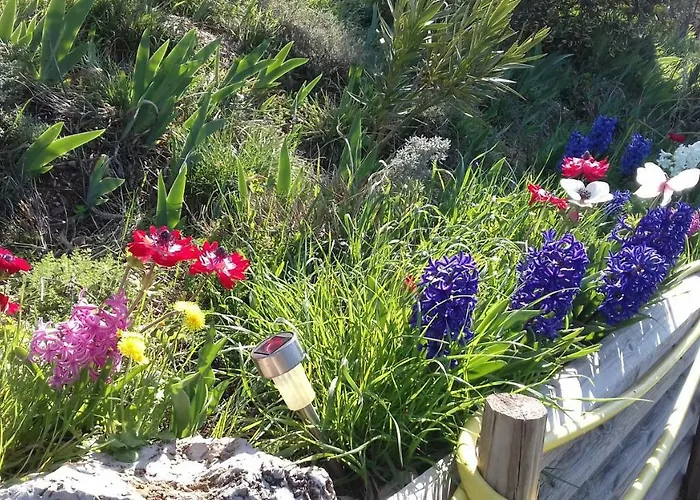 Le De Cristal Proche Bugarach Granes